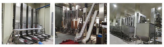 Z Type PP SS304 Bucket Chocolate Food Grade Conveyor