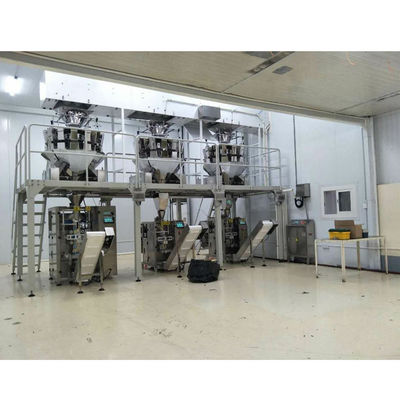 ZH-BL10 Snack Food Packaging Machine