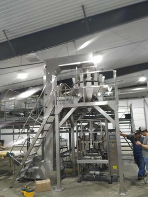 Pillow Type 5000g Automatic Bagging And Weighing Machine