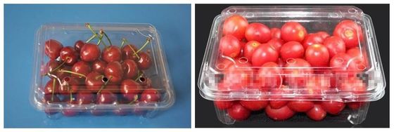 0.1 Gram Plastic Jar Packing Machine