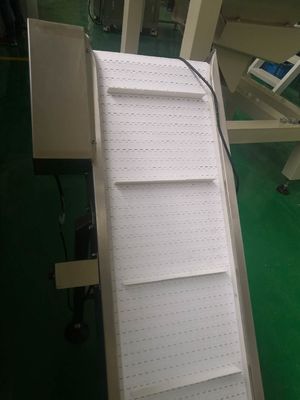 1.2m Inclined Belt Conveyor