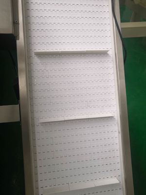 Finished Bag Small Incline 20m/Min Food Grade Conveyor