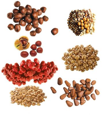 10 Heads Premade Pouch Doypack Packing Machine For Nuts Bean Grain Dry Fruits