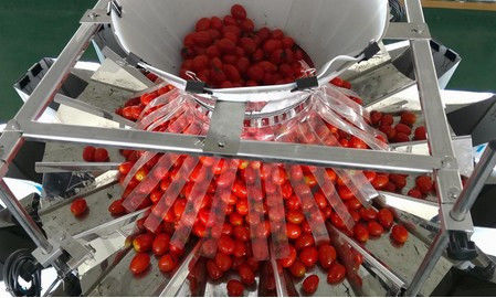 High Speed Cherry Tomato Frozen Food 14 Head Weigher Combination Scale With 2.5L Hopper