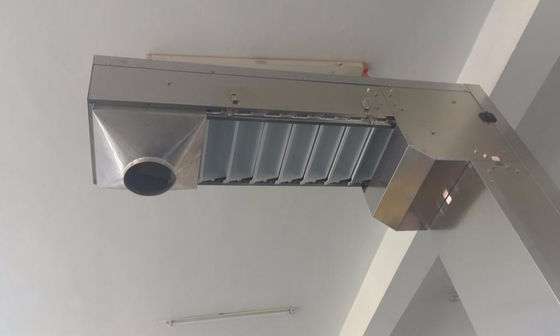Chips Cookies Food Bucket Conveyor Automatic 304SUS Z Type