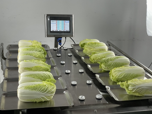 Manual Desk Top 500g 1Kg Weigher Machine For Fruit Vegetable Meat Fish