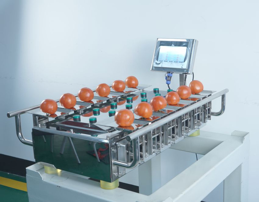Manual Desk Top 500g 1Kg Weigher Machine For Fruit Vegetable Meat Fish