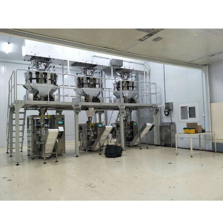 ZH-BL10 Snack Food Packaging Machine