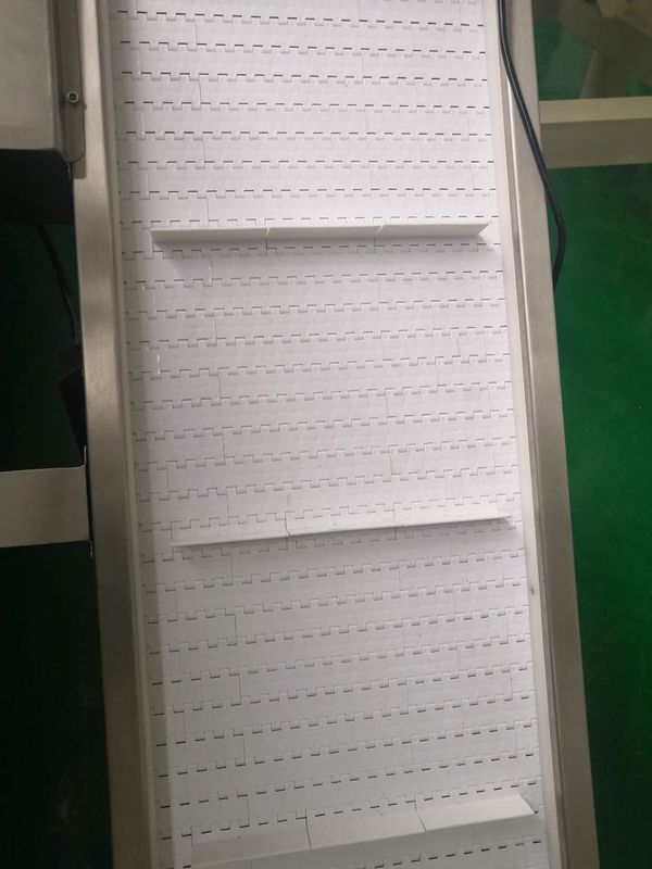 Finished Bag Small Incline 20m/Min Food Grade Conveyor