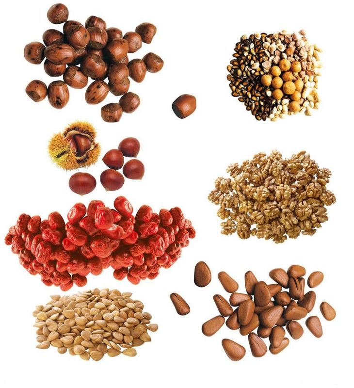 10 Heads Premade Pouch Doypack Packing Machine For Nuts Bean Grain Dry Fruits