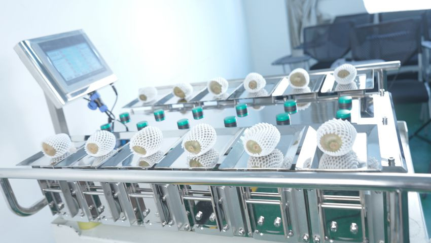 Manual Desk Top 500g 1Kg Weigher Machine For Fruit Vegetable Meat Fish