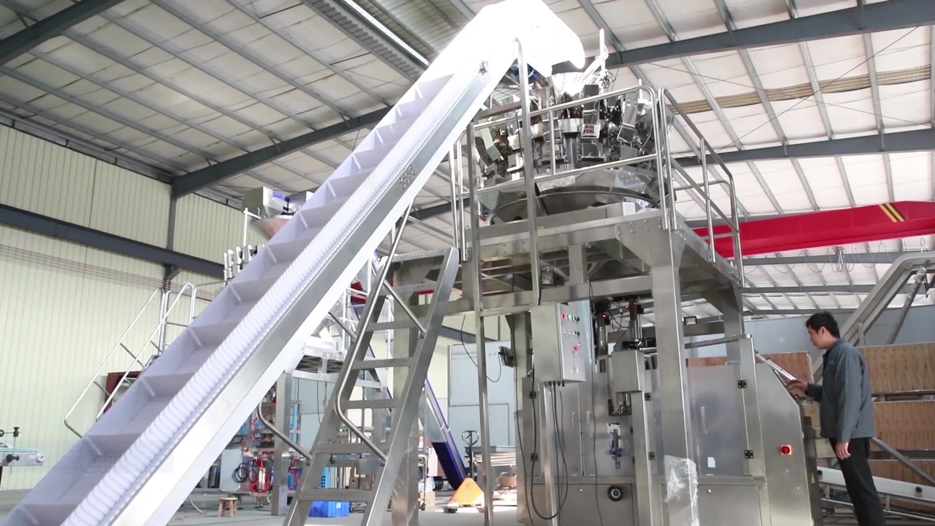Fully Automatic Packaging Machine For Premade Bag Stand Up Pouch