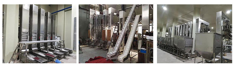 Z Type PP SS304 Bucket Chocolate Food Grade Conveyor