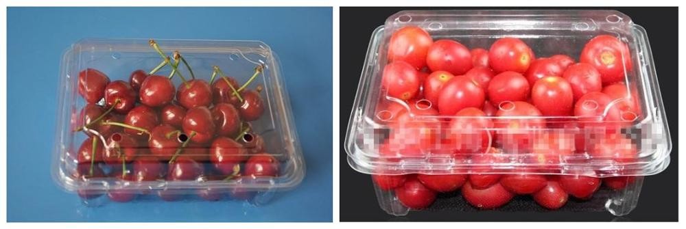 SS304 Plastic Box Packing Machine
