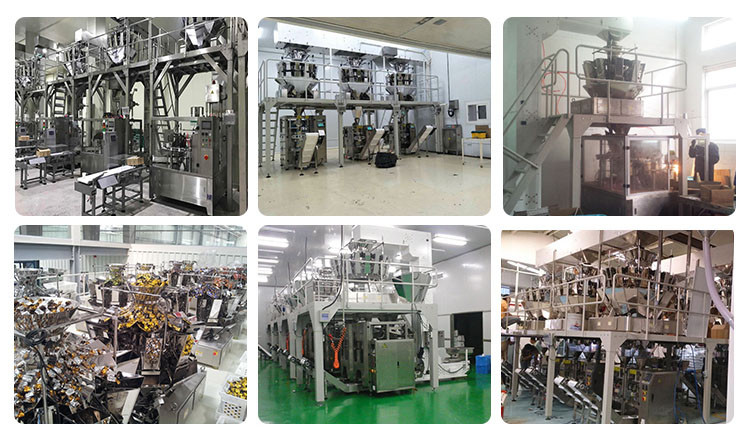 Zipper Bag Flat Pouch Rotary Packaging Machine For Chocolate Cookies 300g 500g
