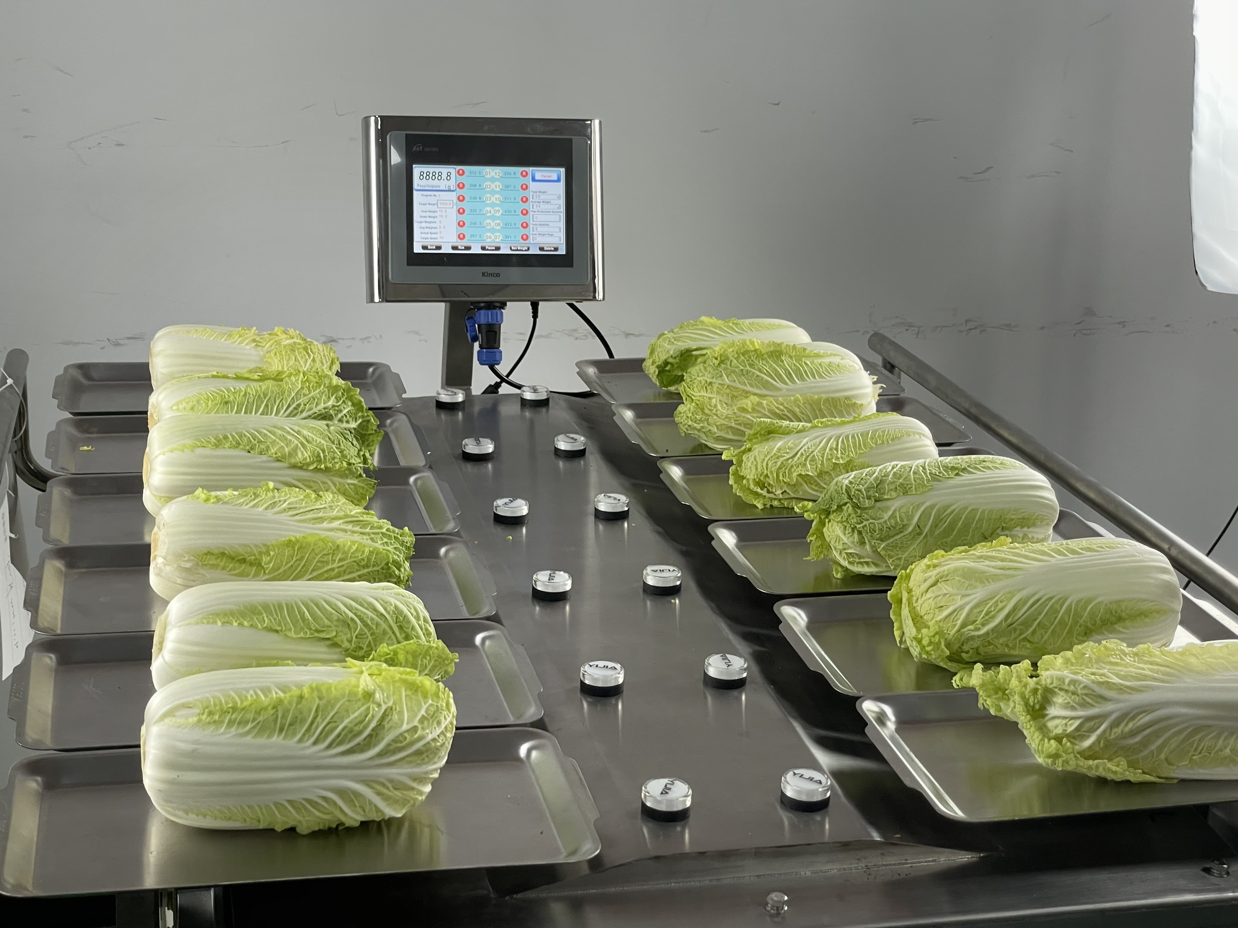 Manual Desk Top 500g 1Kg Weigher Machine For Fruit Vegetable Meat Fish